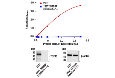 tdp-43 elisa kit|Human TDP.